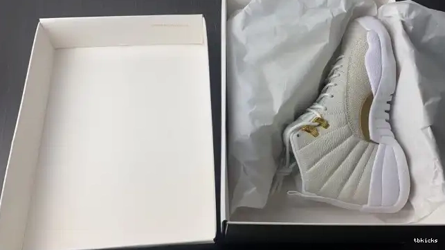 Cheap TBK OVO White Jordan 873864-102 12 Retro 0615